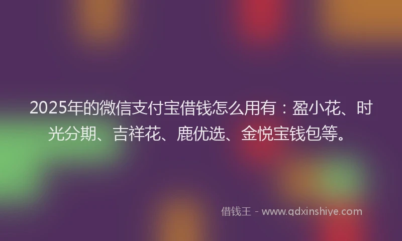 2025年的微信支付宝借钱怎么用有：盈小花、时光分期、吉祥花、鹿优选、金悦宝钱包等。