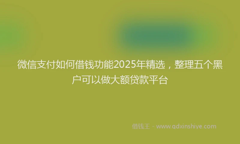 微信支付如何借钱功能2025年精选，整理五个黑户可以做大额贷款平台