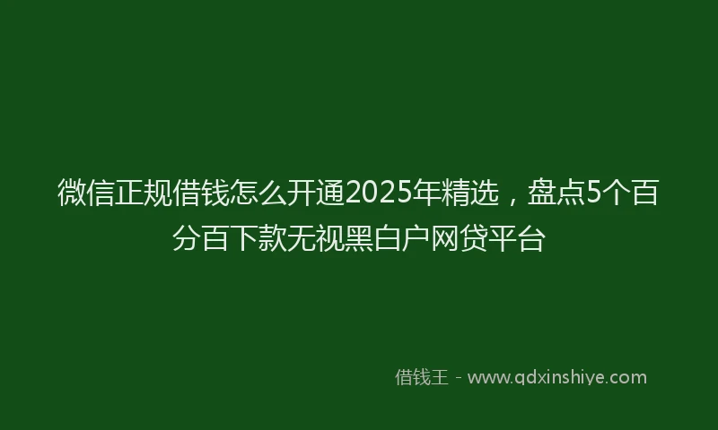微信正规借钱怎么开通2025年精选，盘点5个百分百下款无视黑白户网贷平台