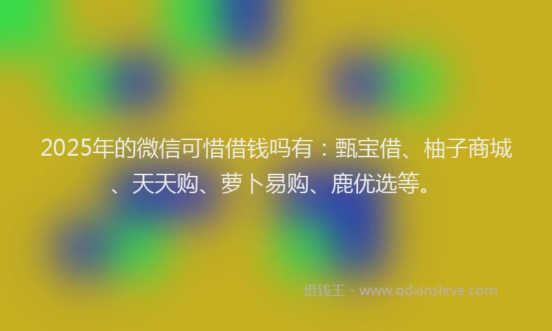 2025年的微信可惜借钱吗有：甄宝借、柚子商城、天天购、萝卜易购、鹿优选等。