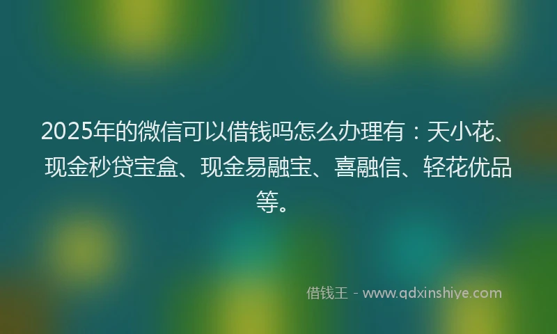 2025年的微信可以借钱吗怎么办理有：天小花、现金秒贷宝盒、现金易融宝、喜融信、轻花优品等。