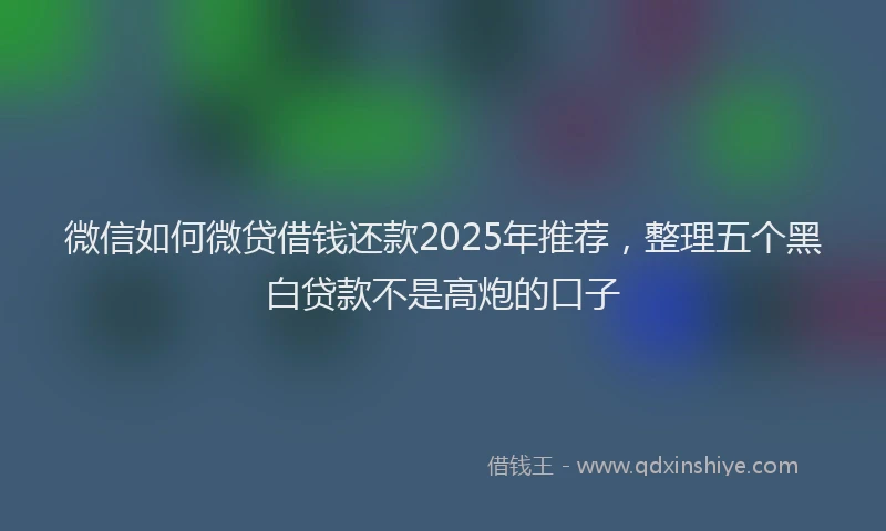 微信如何微贷借钱还款2025年推荐，整理五个黑白贷款不是高炮的口子