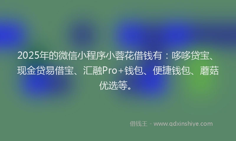 2025年的微信小程序小蓉花借钱有：哆哆贷宝、现金贷易借宝、汇融Pro+钱包、便捷钱包、蘑菇优选等。