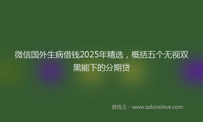 微信国外生病借钱2025年精选，概括五个无视双黑能下的分期贷