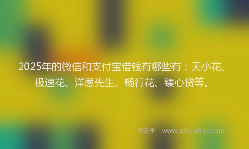 2025年的微信和支付宝借钱有哪些有：天小花、极速花、洋葱先生、畅行花、臻心贷等。