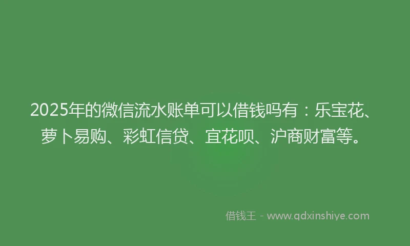 2025年的微信流水账单可以借钱吗有：乐宝花、萝卜易购、彩虹信贷、宜花呗、沪商财富等。