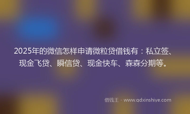 2025年的微信怎样申请微粒贷借钱有：私立签、现金飞贷、瞬信贷、现金快车、森森分期等。