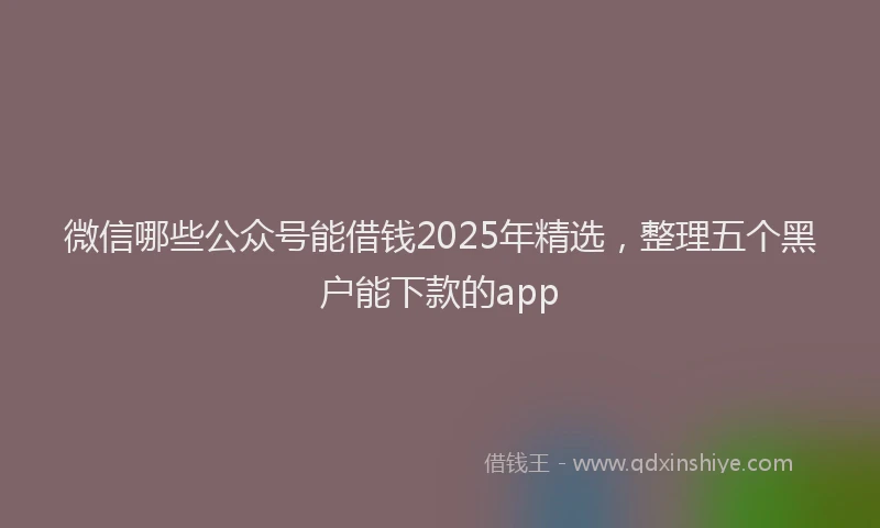 微信哪些公众号能借钱2025年精选，整理五个黑户能下款的app