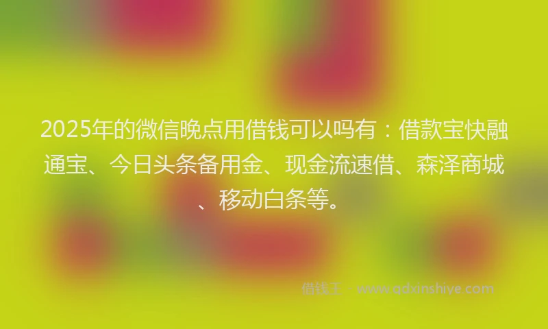 2025年的微信晚点用借钱可以吗有：借款宝快融通宝、今日头条备用金、现金流速借、森泽商城、移动白条等。