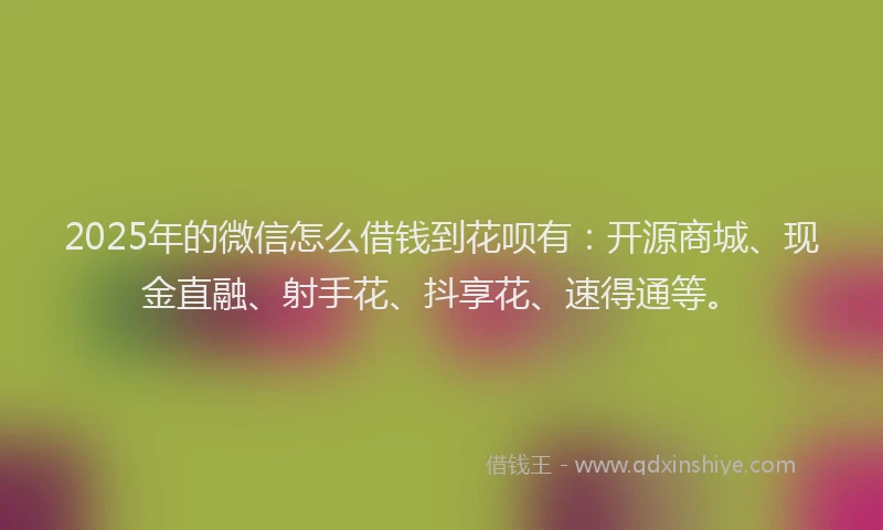 2025年的微信怎么借钱到花呗有：开源商城、现金直融、射手花、抖享花、速得通等。
