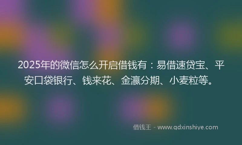 2025年的微信怎么开启借钱有：易借速贷宝、平安口袋银行、钱来花、金瀛分期、小麦粒等。
