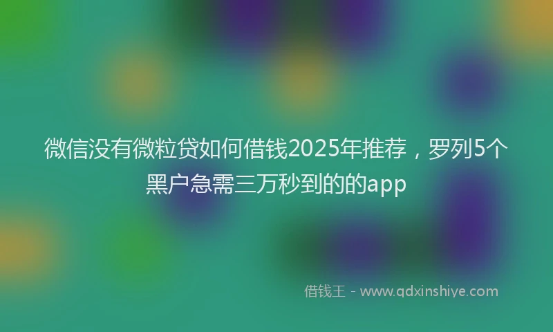 微信没有微粒贷如何借钱2025年推荐，罗列5个黑户急需三万秒到的的app