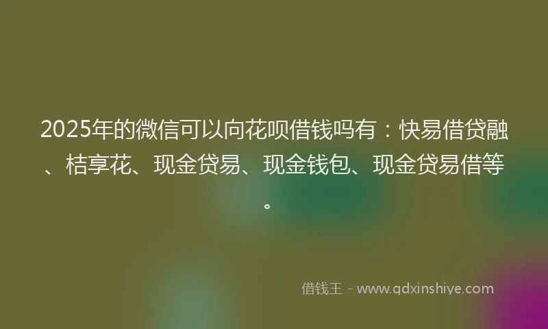 2025年的微信可以向花呗借钱吗有：快易借贷融、桔享花、现金贷易、现金钱包、现金贷易借等。