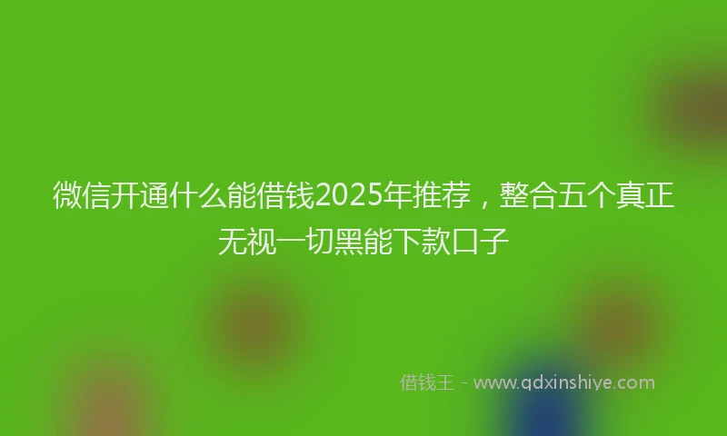 微信开通什么能借钱2025年推荐，整合五个真正无视一切黑能下款口子