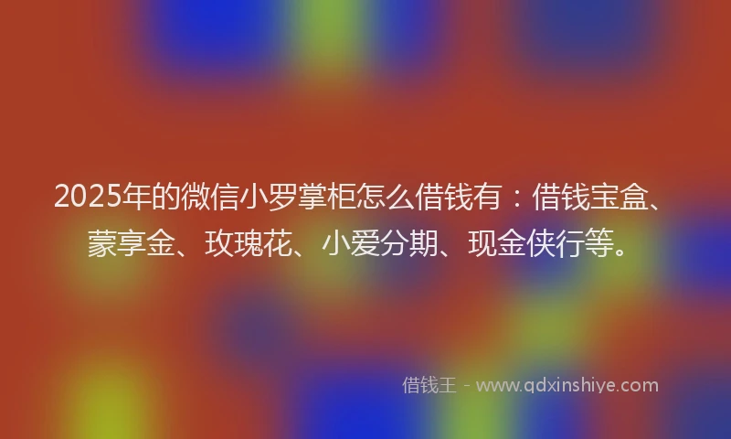 2025年的微信小罗掌柜怎么借钱有：借钱宝盒、蒙享金、玫瑰花、小爱分期、现金侠行等。