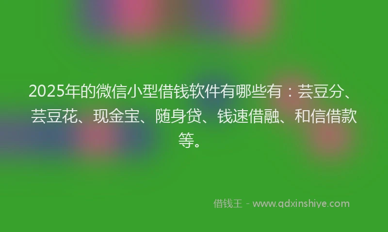 2025年的微信小型借钱软件有哪些有：芸豆分、芸豆花、现金宝、随身贷、钱速借融、和信借款等。