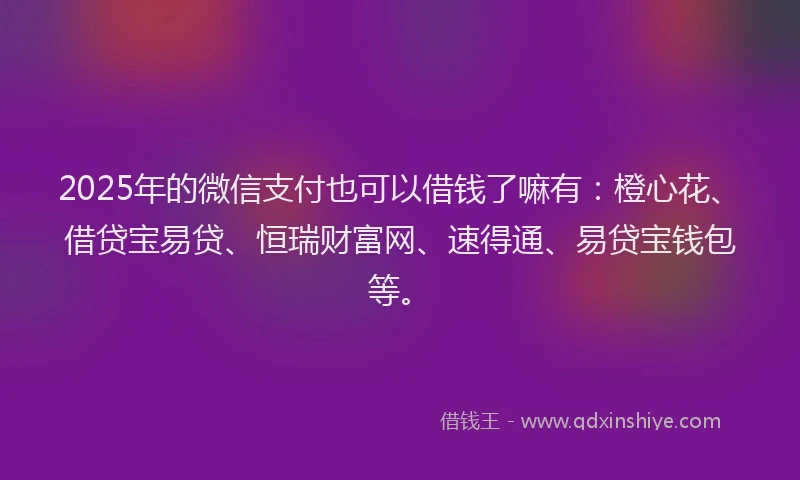 2025年的微信支付也可以借钱了嘛有：橙心花、借贷宝易贷、恒瑞财富网、速得通、易贷宝钱包等。