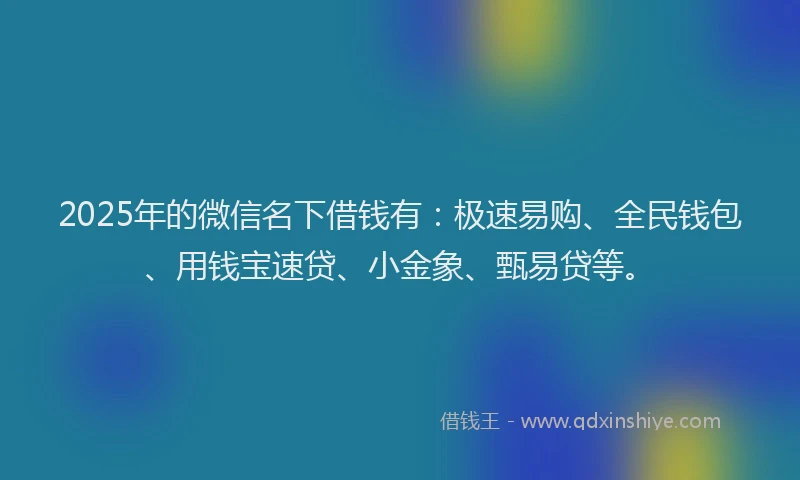 2025年的微信名下借钱有：极速易购、全民钱包、用钱宝速贷、小金象、甄易贷等。