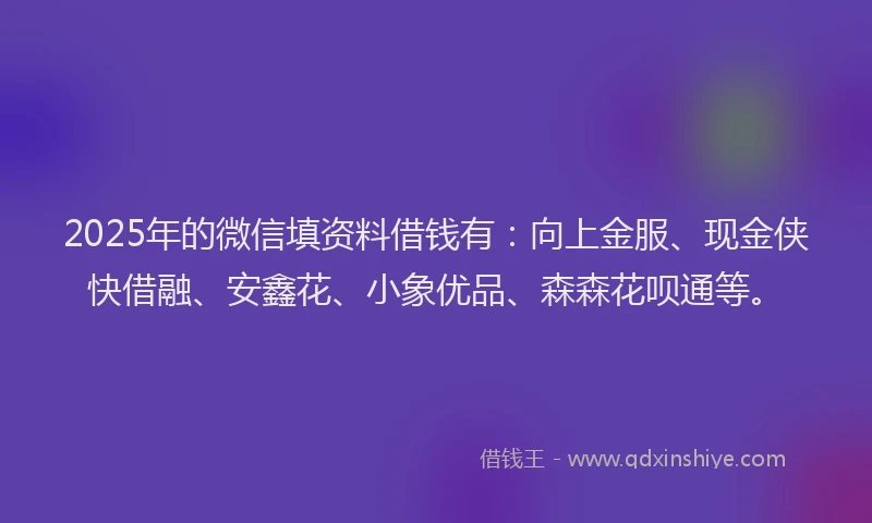 2025年的微信填资料借钱有：向上金服、现金侠快借融、安鑫花、小象优品、森森花呗通等。