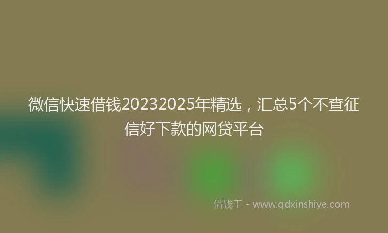 微信快速借钱20232025年精选，汇总5个不查征信好下款的网贷平台