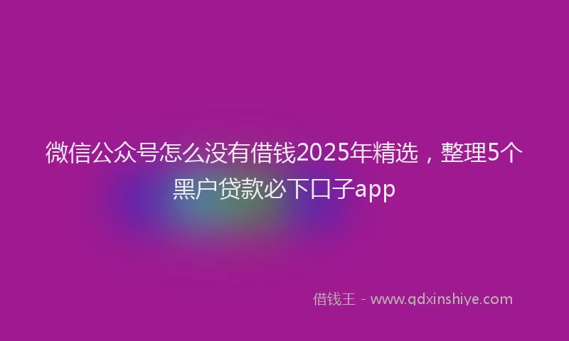 微信公众号怎么没有借钱2025年精选，整理5个黑户贷款必下口子app