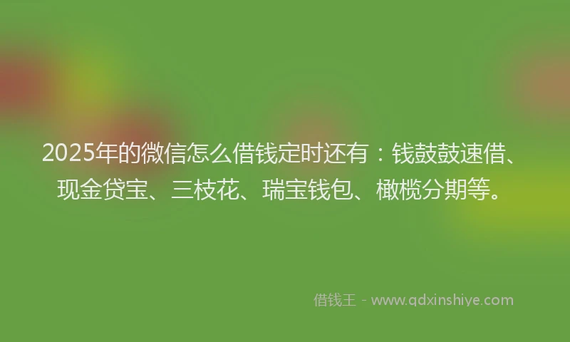 2025年的微信怎么借钱定时还有：钱鼓鼓速借、现金贷宝、三枝花、瑞宝钱包、橄榄分期等。
