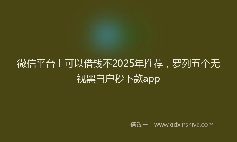 微信平台上可以借钱不2025年推荐，罗列五个无视黑白户秒下款app