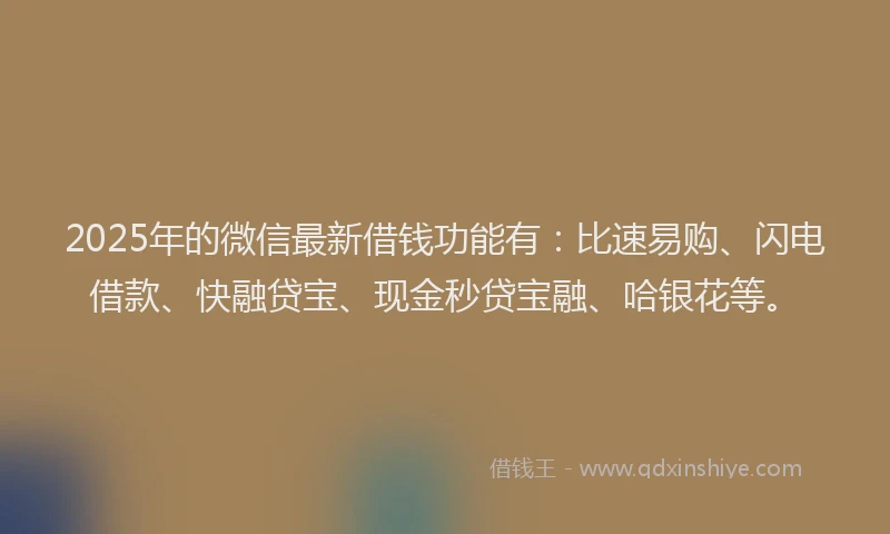 2025年的微信最新借钱功能有：比速易购、闪电借款、快融贷宝、现金秒贷宝融、哈银花等。
