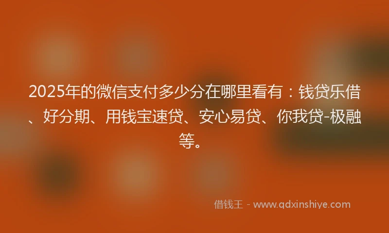 2025年的微信支付多少分在哪里看有：钱贷乐借、好分期、用钱宝速贷、安心易贷、你我贷-极融等。
