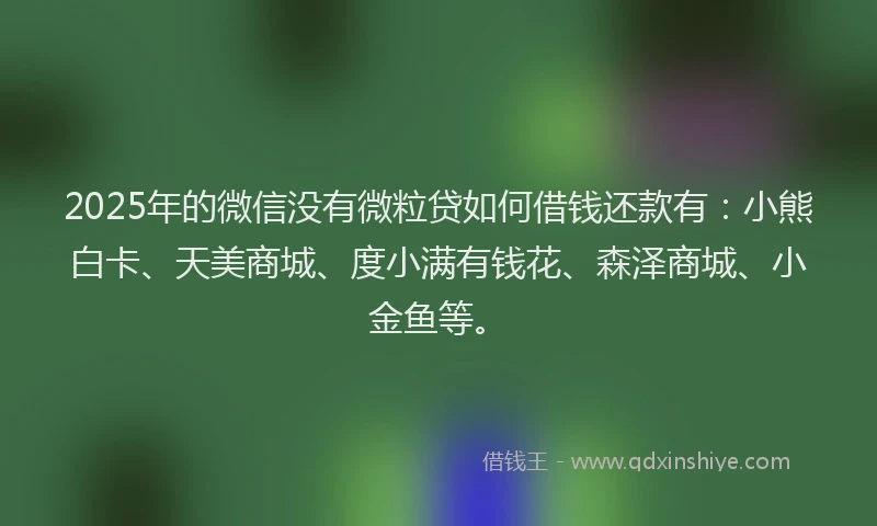 2025年的微信没有微粒贷如何借钱还款有：小熊白卡、天美商城、度小满有钱花、森泽商城、小金鱼等。