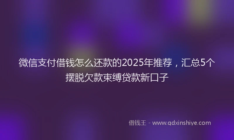 微信支付借钱怎么还款的2025年推荐，汇总5个摆脱欠款束缚贷款新口子