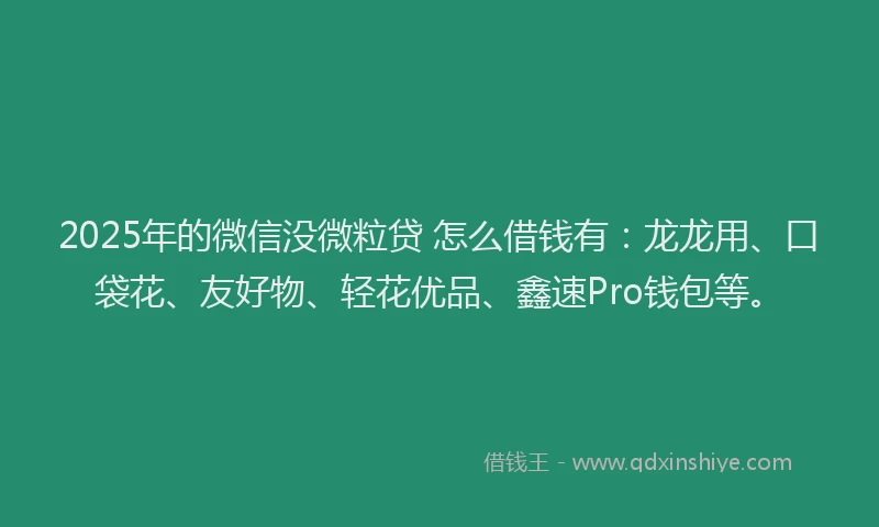 2025年的微信没微粒贷 怎么借钱有：龙龙用、口袋花、友好物、轻花优品、鑫速Pro钱包等。