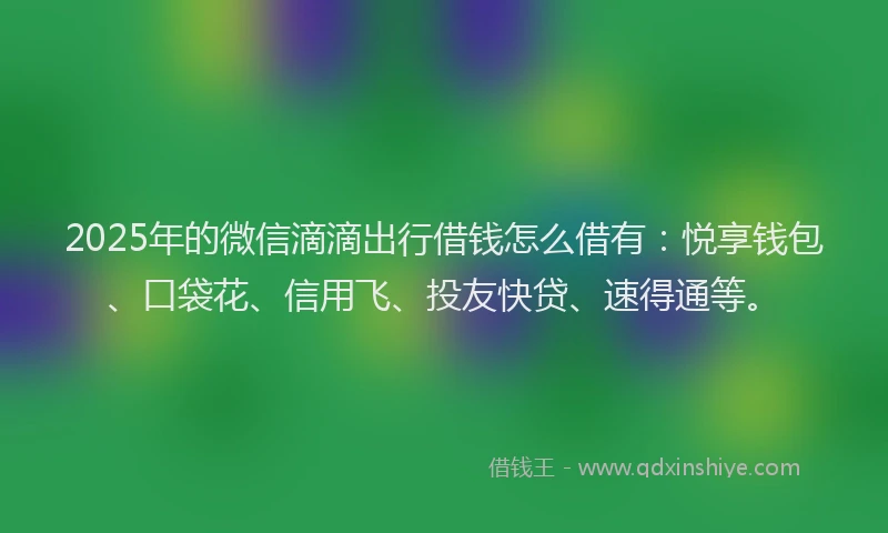 2025年的微信滴滴出行借钱怎么借有：悦享钱包、口袋花、信用飞、投友快贷、速得通等。