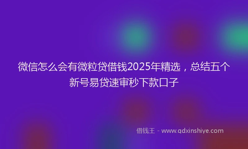 微信怎么会有微粒贷借钱2025年精选，总结五个新号易贷速审秒下款口子