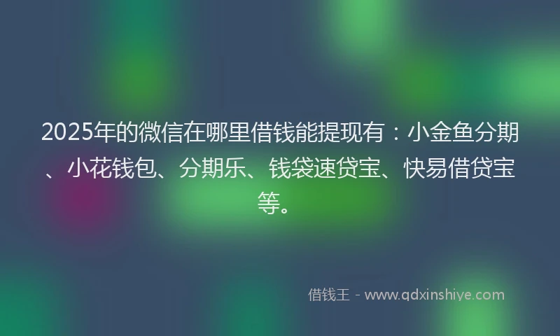 2025年的微信在哪里借钱能提现有：小金鱼分期、小花钱包、分期乐、钱袋速贷宝、快易借贷宝等。