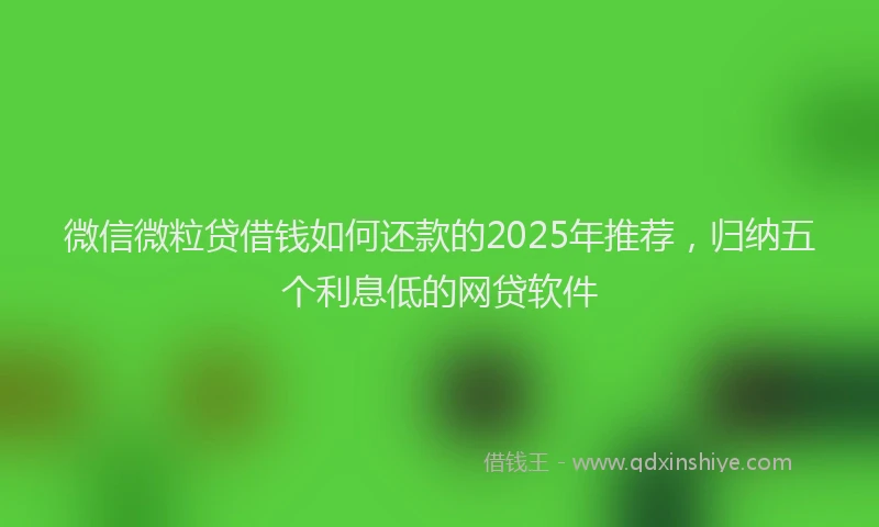 微信微粒贷借钱如何还款的2025年推荐，归纳五个利息低的网贷软件