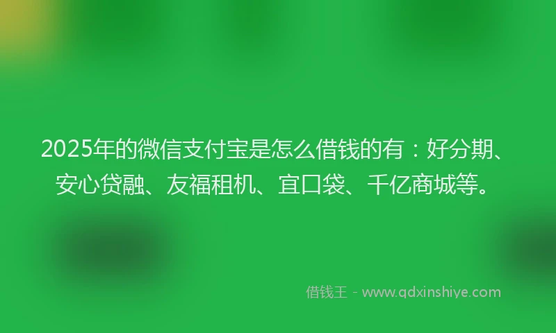 2025年的微信支付宝是怎么借钱的有：好分期、安心贷融、友福租机、宜口袋、千亿商城等。