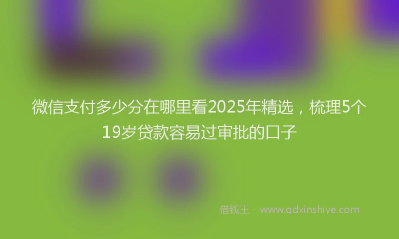 微信支付多少分在哪里看2025年精选，梳理5个19岁贷款容易过审批的口子