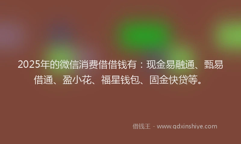 2025年的微信消费借借钱有：现金易融通、甄易借通、盈小花、福星钱包、固金快贷等。