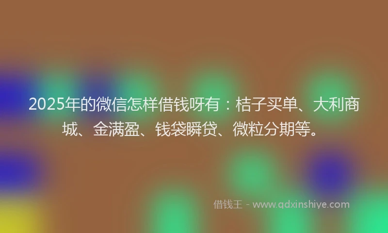 2025年的微信怎样借钱呀有：桔子买单、大利商城、金满盈、钱袋瞬贷、微粒分期等。