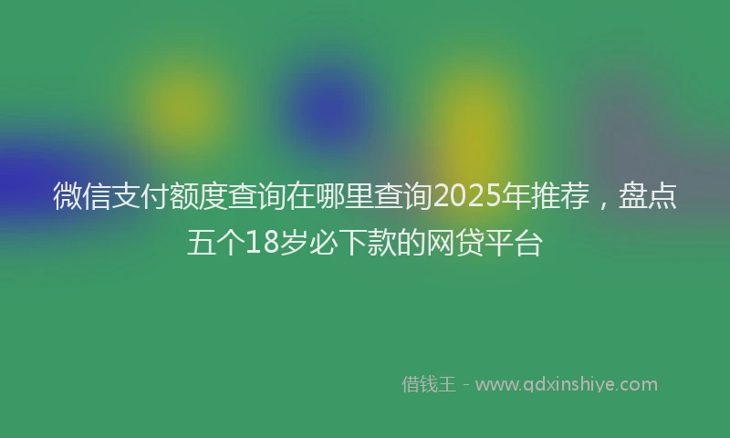 微信支付额度查询在哪里查询2025年推荐，盘点五个18岁必下款的网贷平台