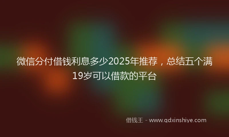 微信分付借钱利息多少2025年推荐，总结五个满19岁可以借款的平台