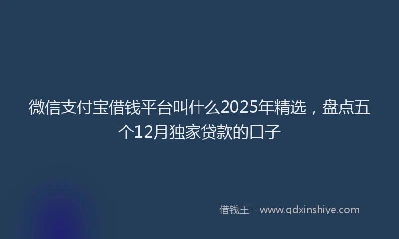 微信支付宝借钱平台叫什么2025年精选，盘点五个12月独家贷款的口子