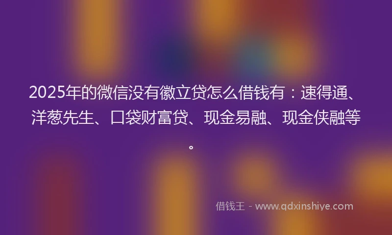 2025年的微信没有徽立贷怎么借钱有：速得通、洋葱先生、口袋财富贷、现金易融、现金侠融等。