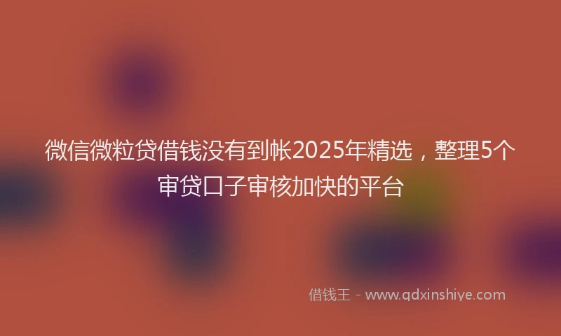 微信微粒贷借钱没有到帐2025年精选，整理5个审贷口子审核加快的平台