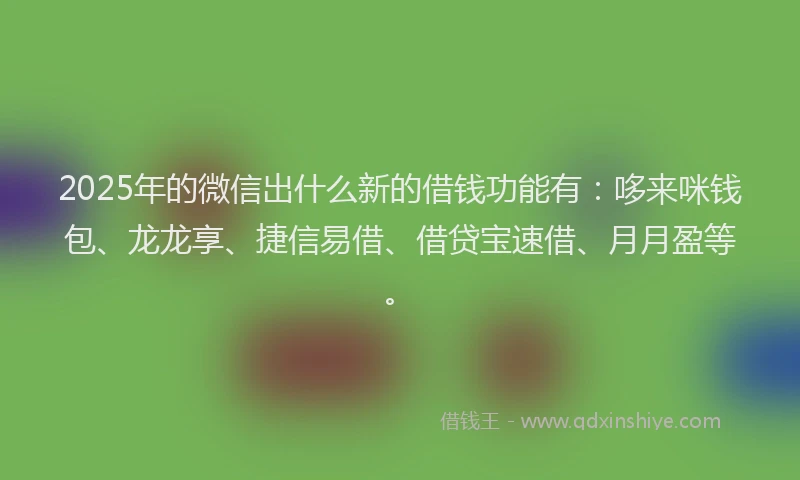 2025年的微信出什么新的借钱功能有：哆来咪钱包、龙龙享、捷信易借、借贷宝速借、月月盈等。
