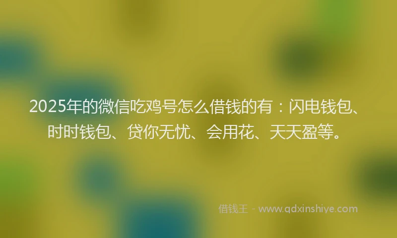 2025年的微信吃鸡号怎么借钱的有：闪电钱包、时时钱包、贷你无忧、会用花、天天盈等。