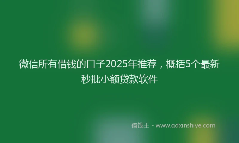 微信所有借钱的口子2025年推荐，概括5个最新秒批小额贷款软件