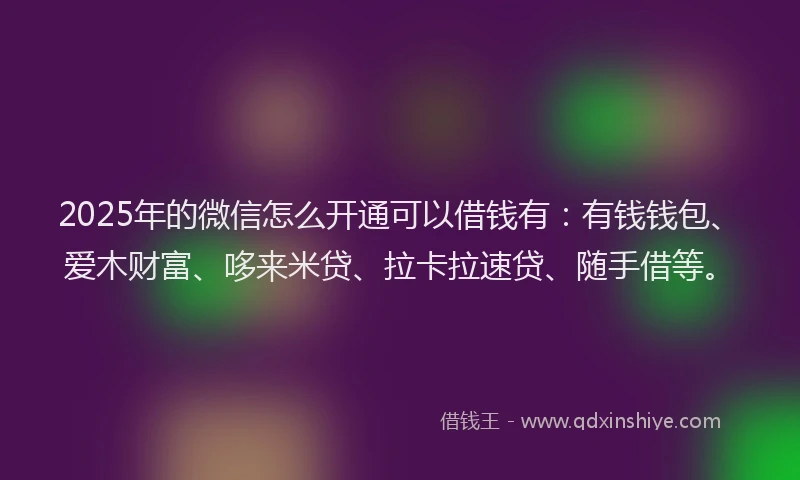 2025年的微信怎么开通可以借钱有：有钱钱包、爱木财富、哆来米贷、拉卡拉速贷、随手借等。