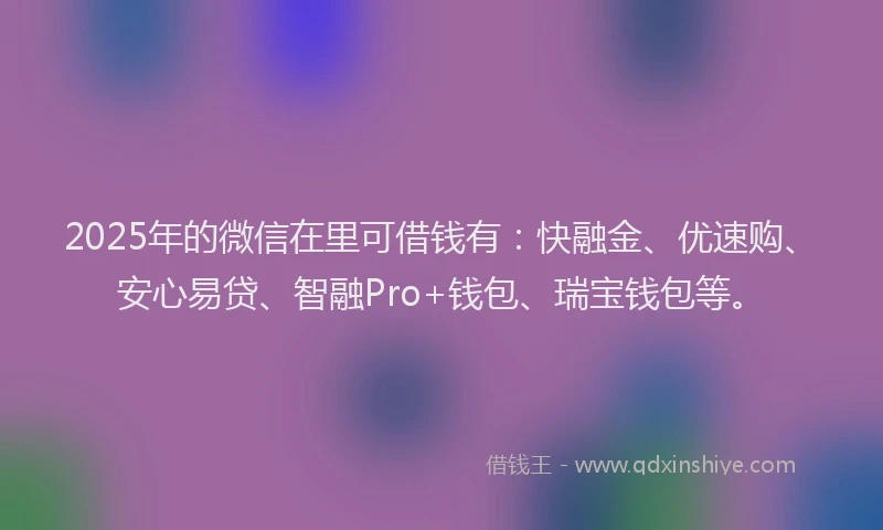 2025年的微信在里可借钱有：快融金、优速购、安心易贷、智融Pro+钱包、瑞宝钱包等。